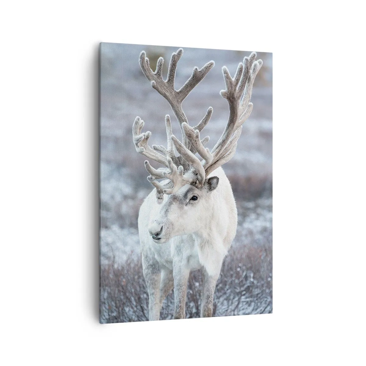 Tablou pe pânză Canvas - Portret la soare - 70x100 cm