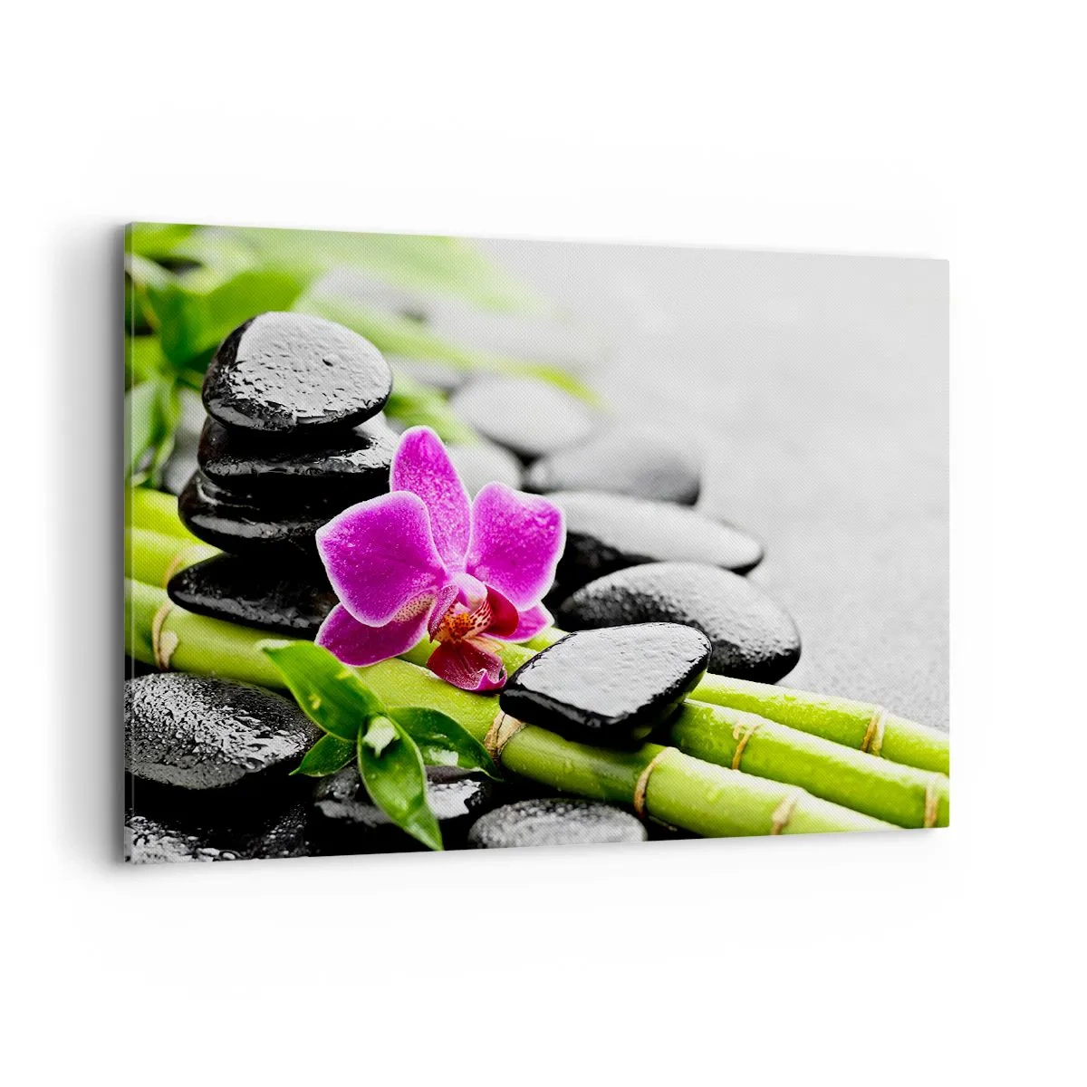 Tablou pe pânză - Într-un echilibru pașnic - 120x80 cm