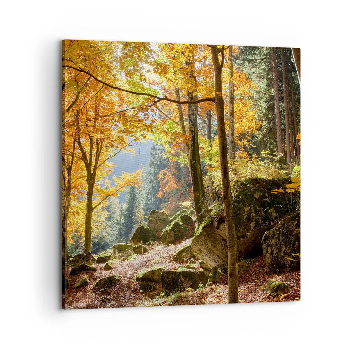 Tablou pe pânză - Timp de relaxare - 60x60 cm