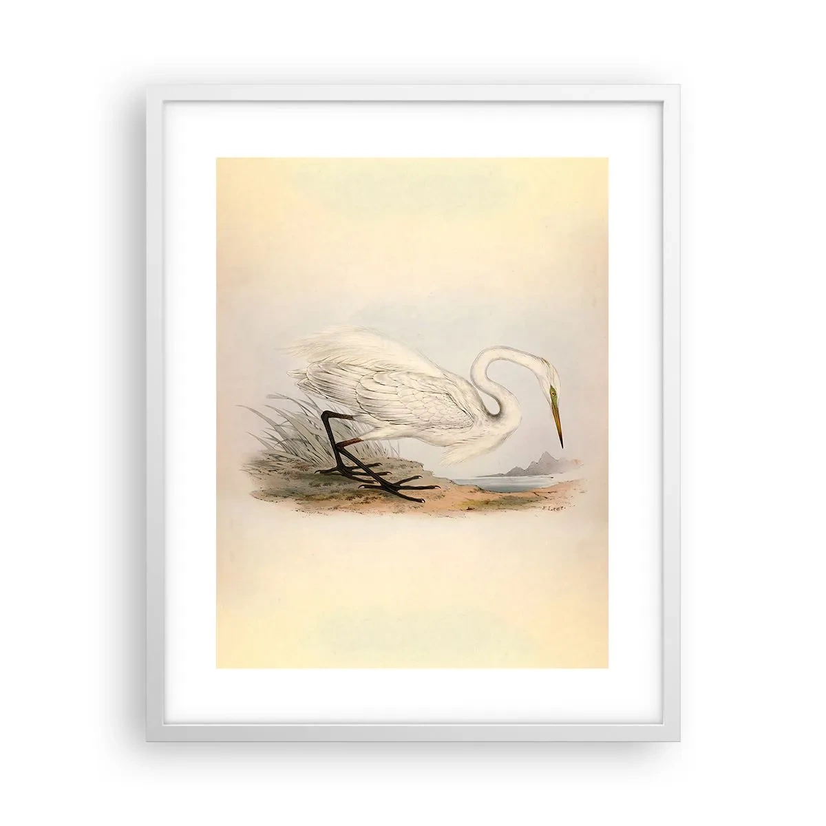 Poster în ramă albă - Doamna în stufărișuri - 40x50 cm