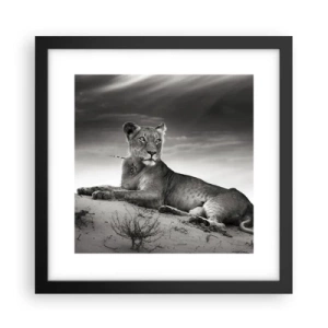 Poster în ramă neagră - Odihna reginei deșertului - 30x30 cm