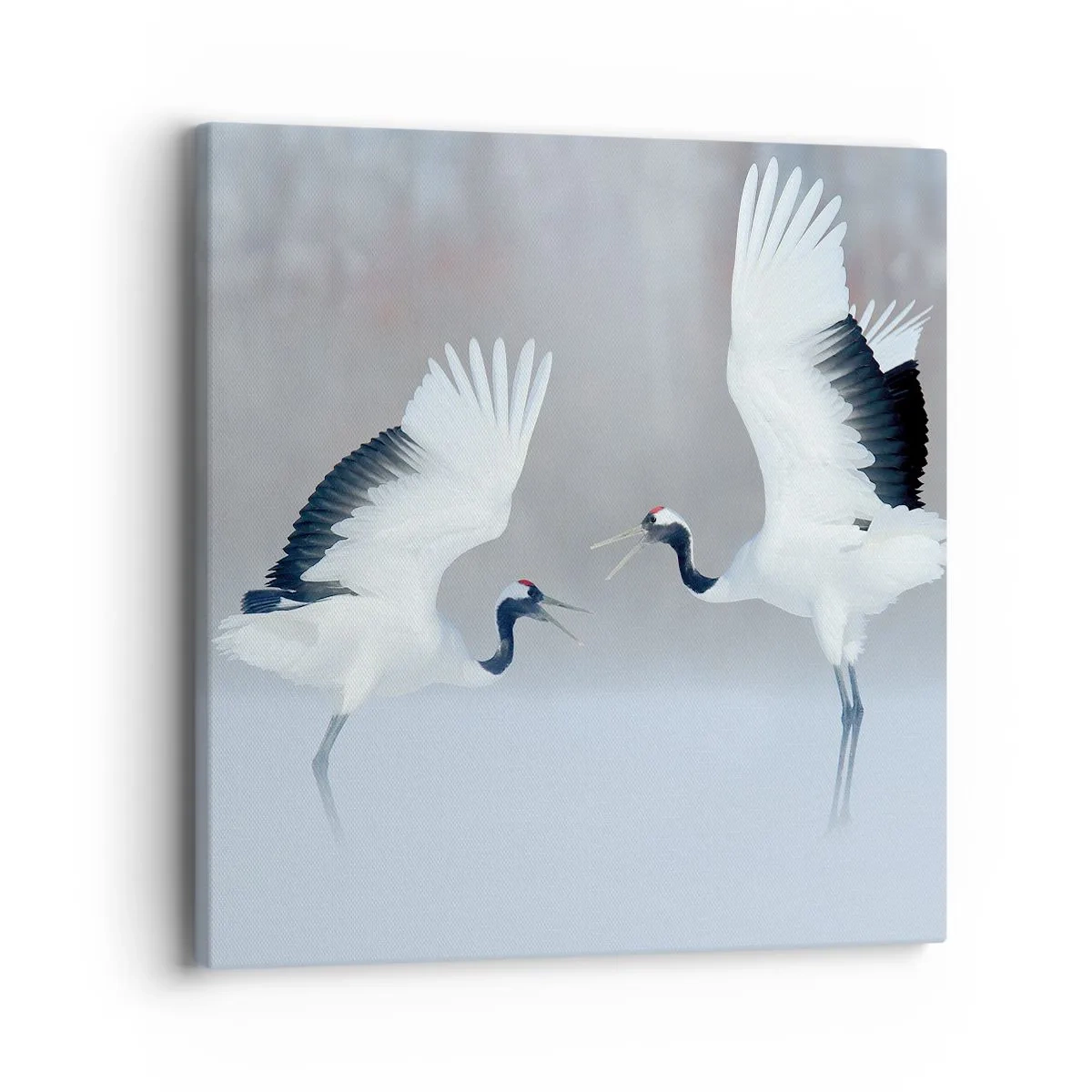 Tablou pe pânză - Dansând în ceață - 40x40 cm