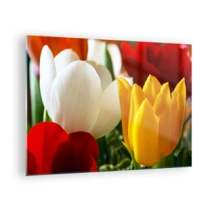 Tablou pe sticlă - Lalele colorate prim-plan - 70x50cm - Goana după lalele - Decorațiune modernă pentru perete pentru living și dormitor ARTTOR