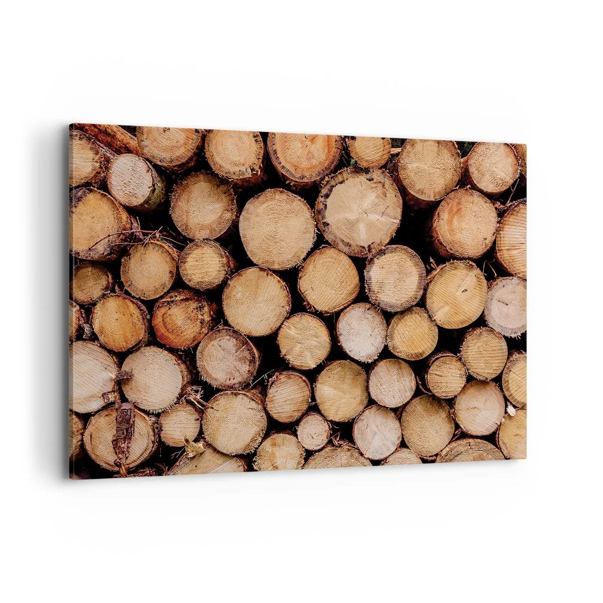 Tablou pe pânză - Un nou început - 100x70 cm