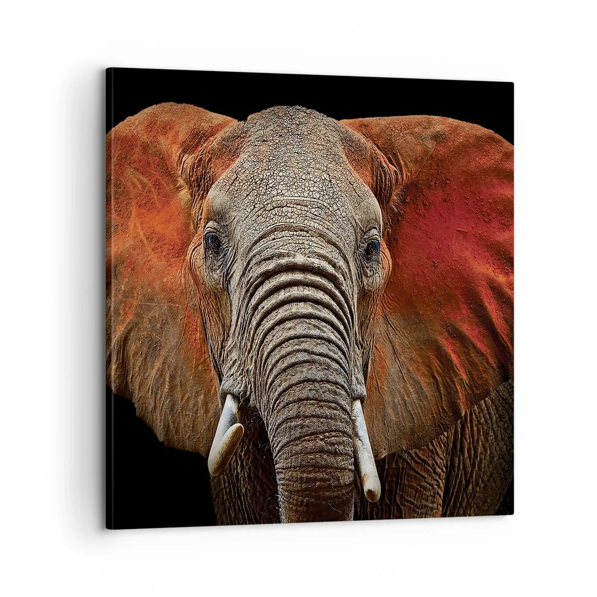 Tablou pe pânză - Sunt sălbatic, și tu? - 60x60 cm