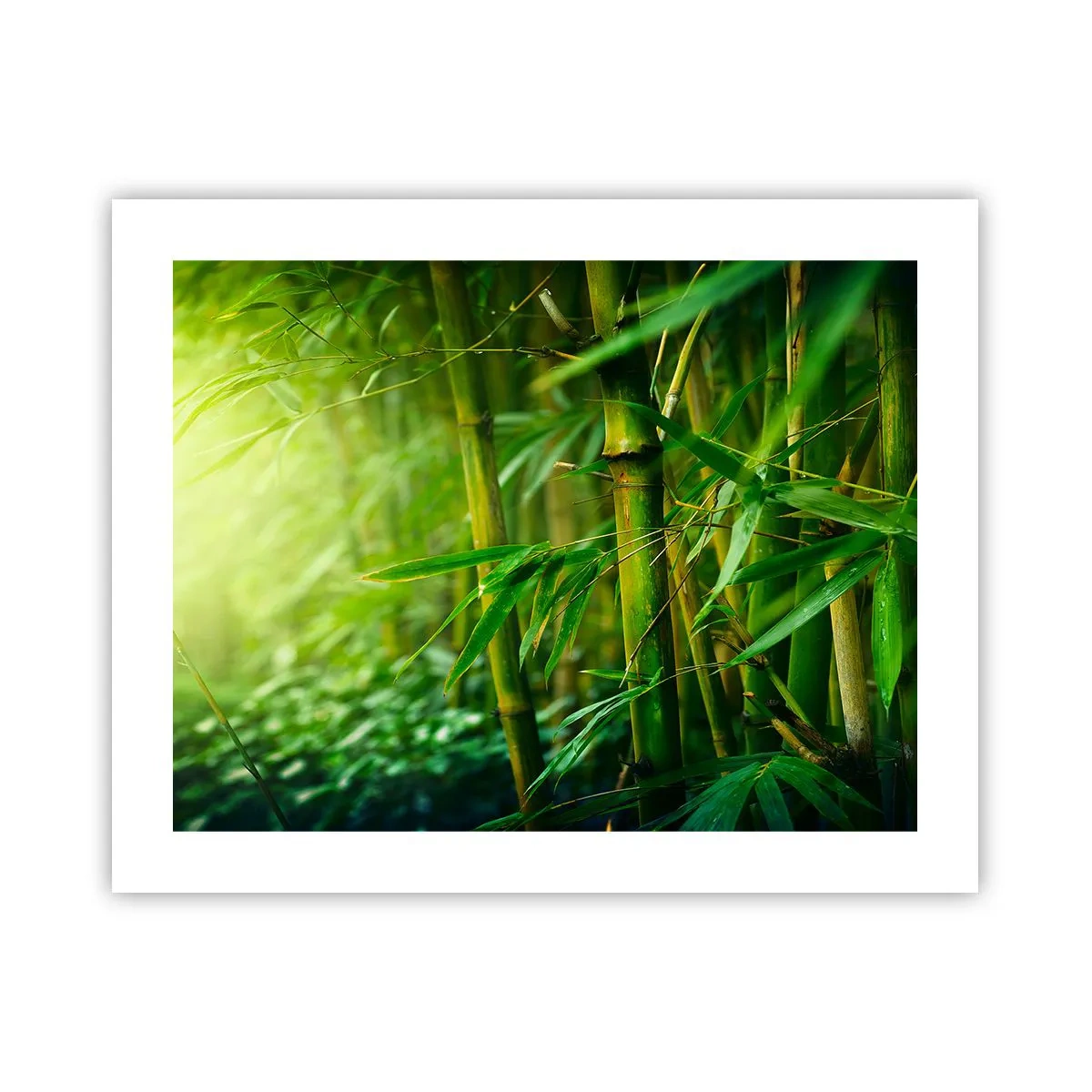 Poster - Cunoașteți verdeața în sine - 50x40 cm