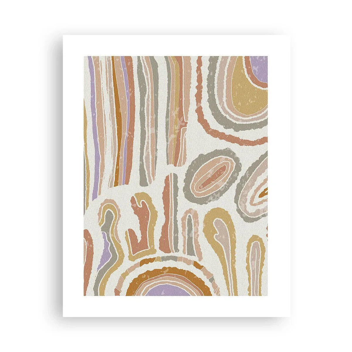 Poster - Secțiuni colorate - 40x50 cm