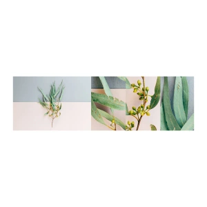 Mostră tapet autocolant Deluxe Sticker - Subtilitate pastelată - Pastel, Plantă, Boho - 100x30 cm