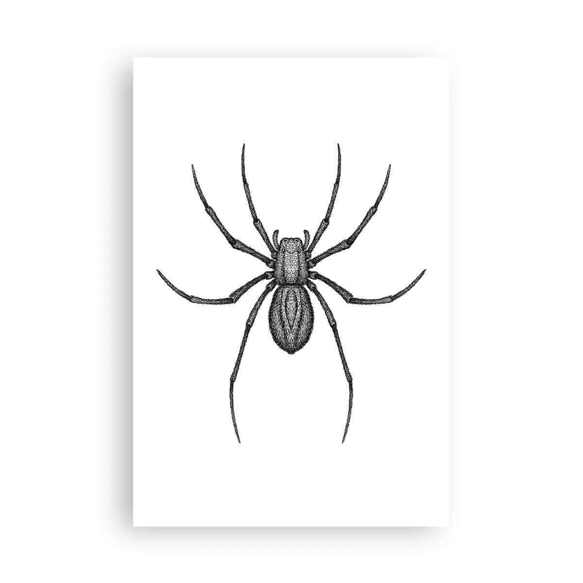 Poster - Precizie tulburătoare - 61x91 cm