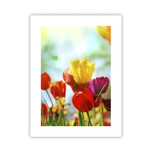 Poster - Toate culorile soarelui - 30x40 cm