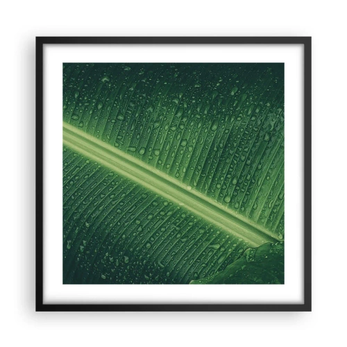 Poster în ramă neagră - Structura verdelui - 50x50 cm