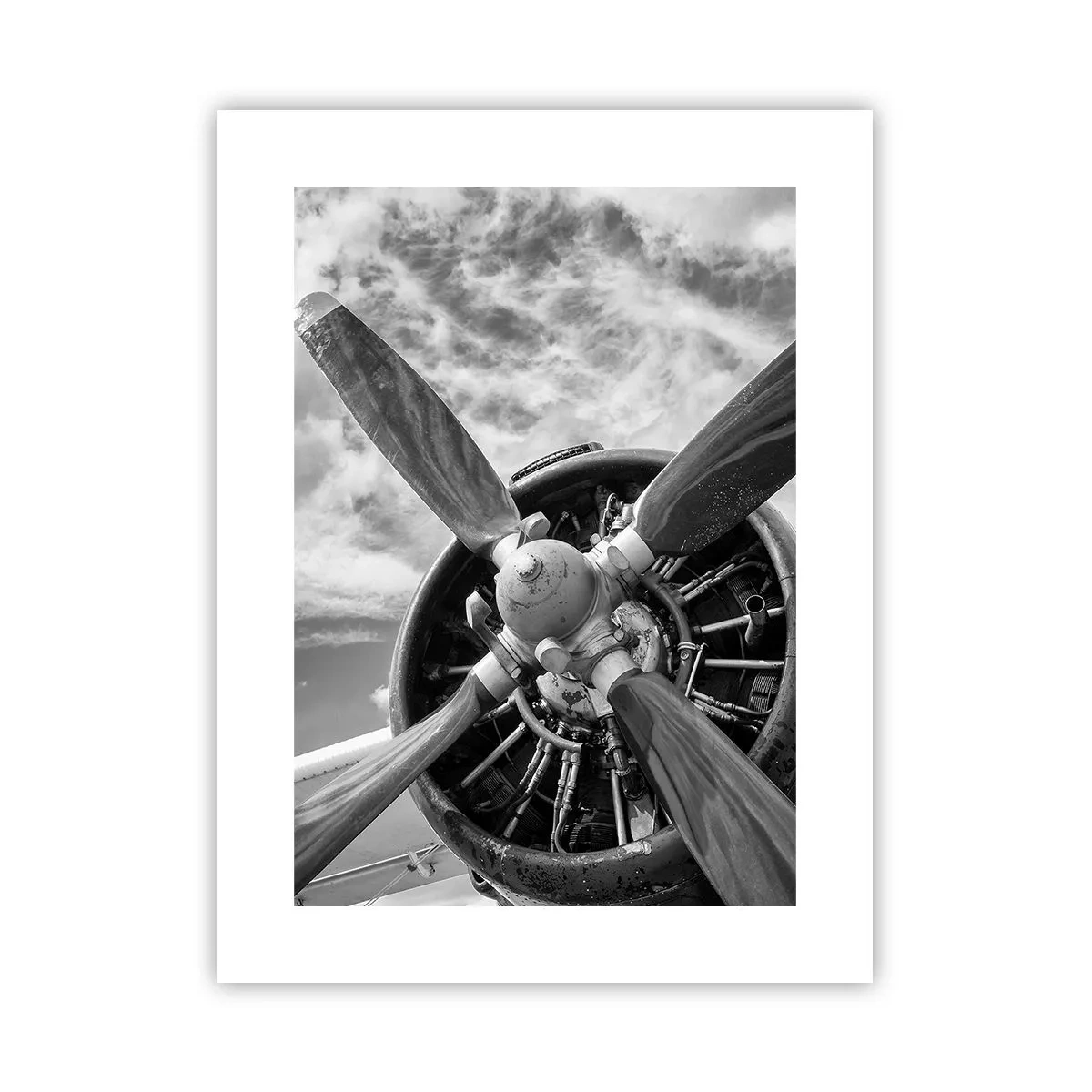 Poster - Cuceritorul cerului - 30x40 cm