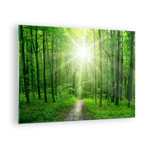 Tablou pe sticlă - O cărare în pădure luminată de razele soarelui - 70x50cm - Catedrala verde - Decorațiune modernă pentru perete pentru living și dormitor ARTTOR