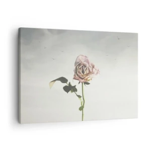 Tablou pe pânză Canvas - Un trandafir delicat pe un cer luminos cu păsări în zbor - 70x50cm - Primăvara binevenită - Decorațiune modernă pentru perete pentru living și dormitor ARTTOR