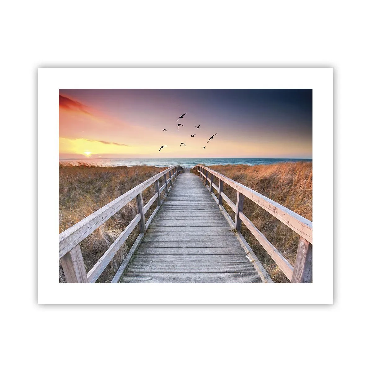 Poster - Spațiul pentru a zbura - 50x40 cm