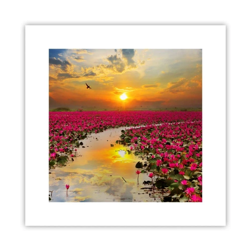 Poster - Viața secretă a lacului - 30x30 cm