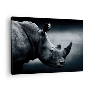 Tablou pe pânză Canvas - Portret alb-negru al unui rinocer pe un fundal întunecat - 70x50cm - Profil drept - Decorațiune modernă pentru perete pentru living și dormitor ARTTOR