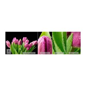 Mostră tapet autocolant Deluxe Sticker - Bucurie de liliac de primăvară - Flori, Lalele, Buchet de flori - 100x30 cm