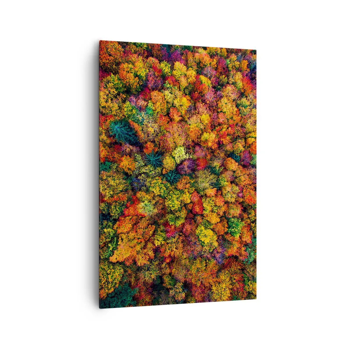 Tablou pe pânză - Buchet de copaci de toamnă - 80x120 cm