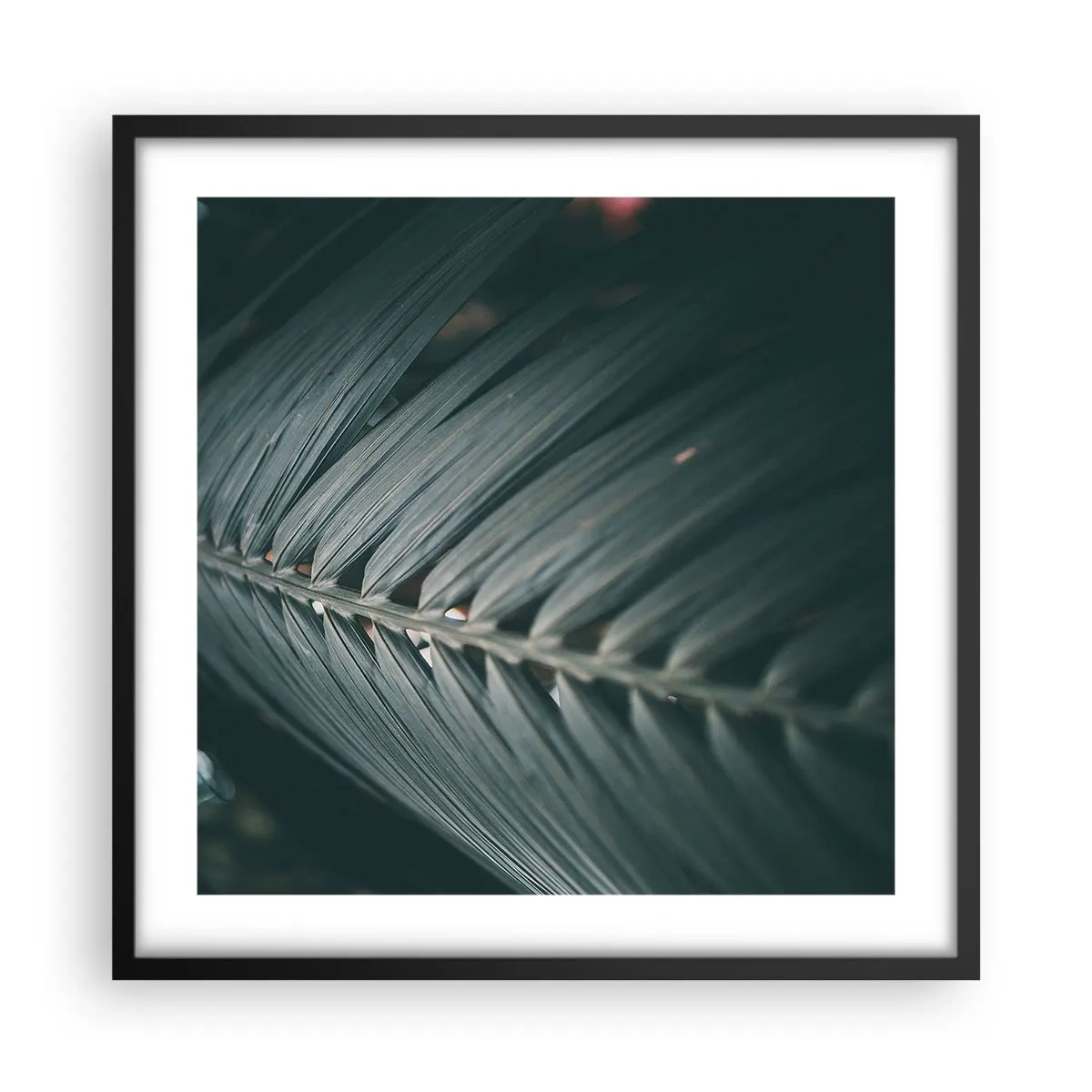 Poster în ramă neagră - Precizia naturii - 50x50 cm