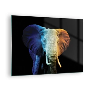 Tablou pe sticlă - Portret colorat al unui elefant pe fundal negru - 70x50cm - Excentric, nu ciudat - Decorațiune modernă pentru perete pentru living și dormitor ARTTOR
