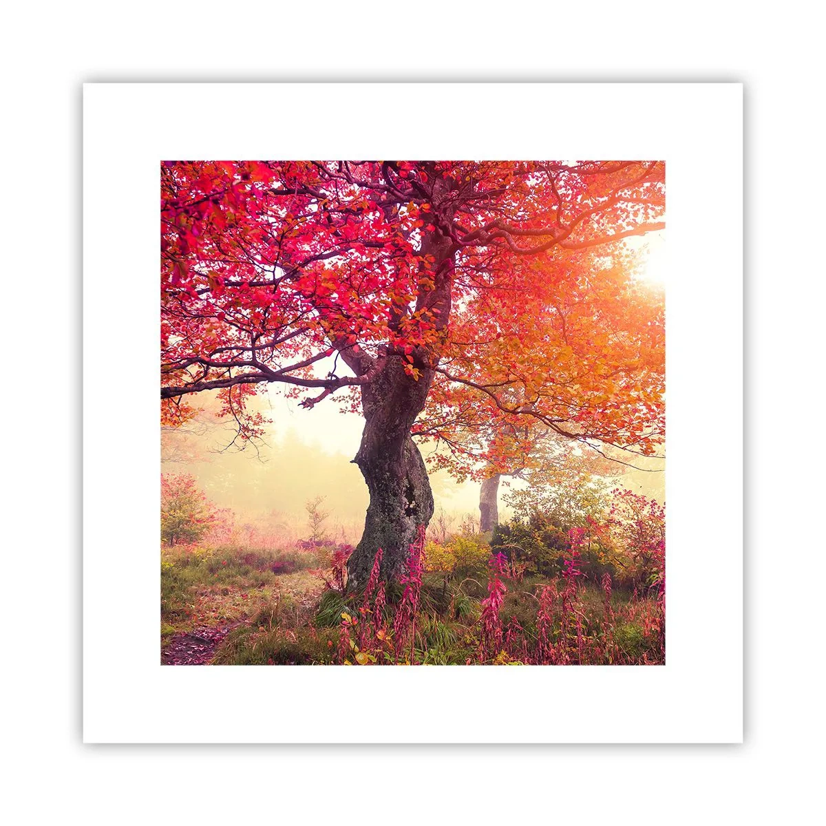 Poster - O frenezie de înflorire - 30x30 cm