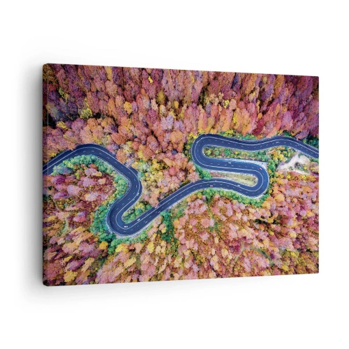 Tablou pe pânză Canvas - Un drum șerpuitor într-o pădure de toamnă văzut din perspectiva unei păsări - 70x50cm - Un drum șerpuit prin pădure - Decorațiune modernă pentru perete pentru living și dormitor ARTTOR