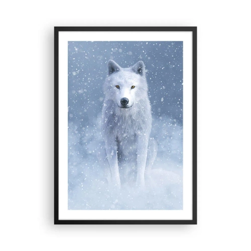 Poster în ramă neagră - Un lup alb într-un peisaj de iarnă, înconjurat de zăpadă. - 50x70cm - În stil de iarnă - Decorațiune modernă pentru perete pentru living și dormitor ARTTOR