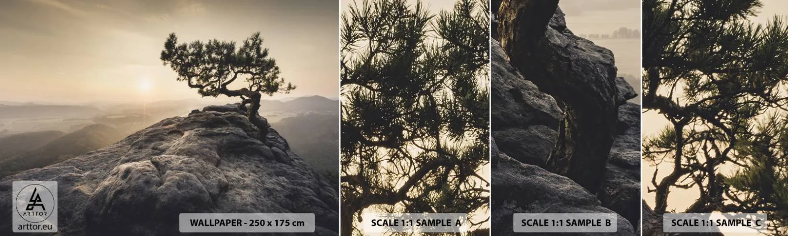 Mostră tapet autocolant Deluxe Sticker - Viața învinge întotdeauna - Peisaj montan, Pin, Munţi - 100x30 cm