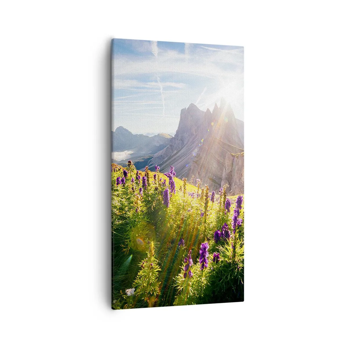 Tablou pe pânză - Viața secretă a ierburilor - 55x100 cm