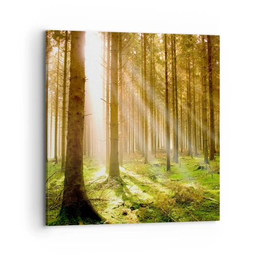 Tablou pe pânză - Spiridușii sunt pe cale să apară - 70x70 cm