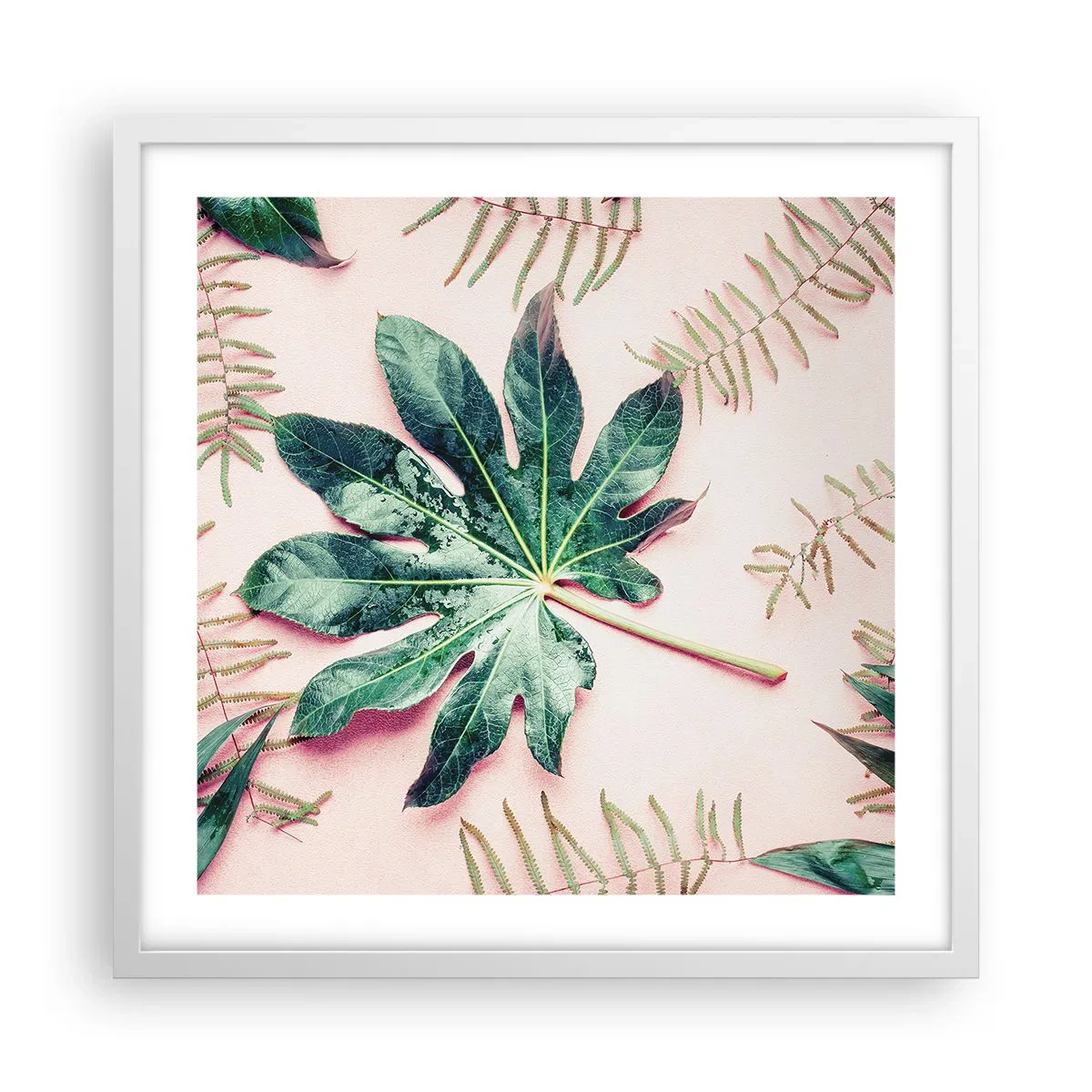 Poster în ramă albă - Studiu de verdeață pe un fundal roz - 50x50 cm