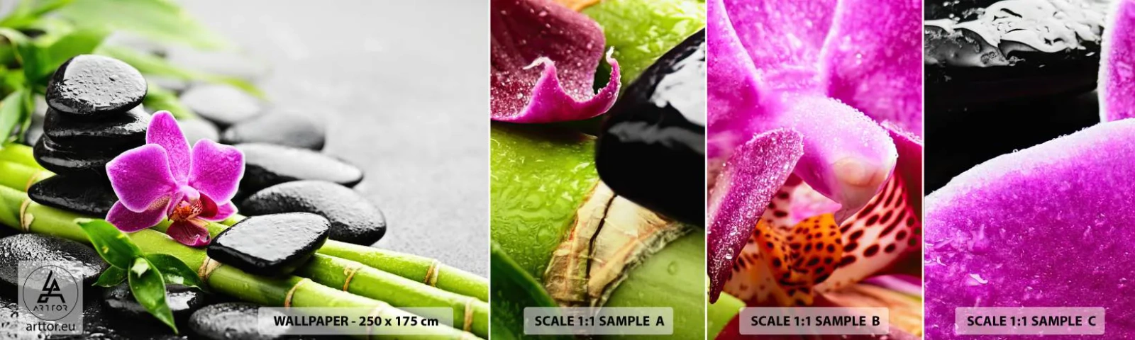 Mostră tapet autocolant Deluxe Sticker - Într-un echilibru pașnic - Flori, Orhidee, Orhidee - 100x30 cm