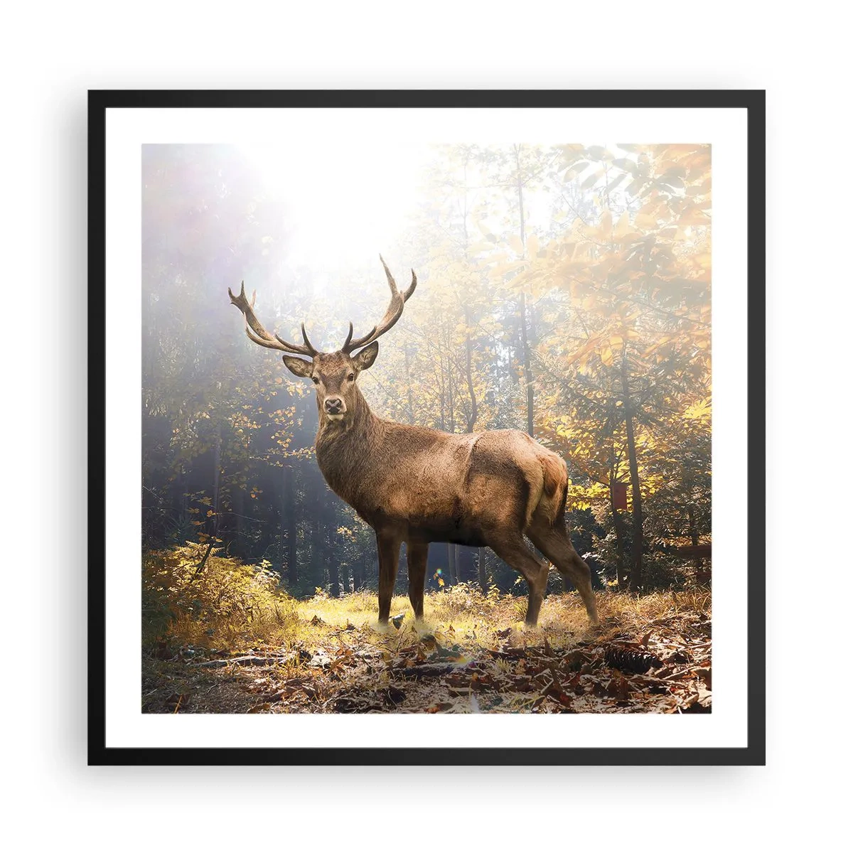 Poster în ramă neagră - Măreție calmă - 60x60 cm