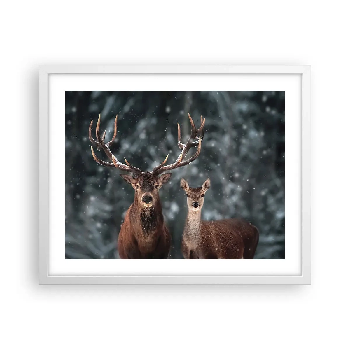 Poster în ramă albă - Stăpânul pădurii și soția sa - 50x40 cm