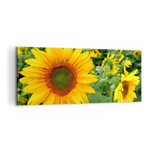 Tablou pe pânză - Sute de sori se aprind în flăcări - 100x40 cm