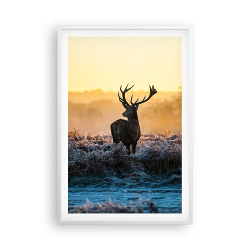 Poster în ramă albă - Încoronat pe domeniul său - 61x91 cm