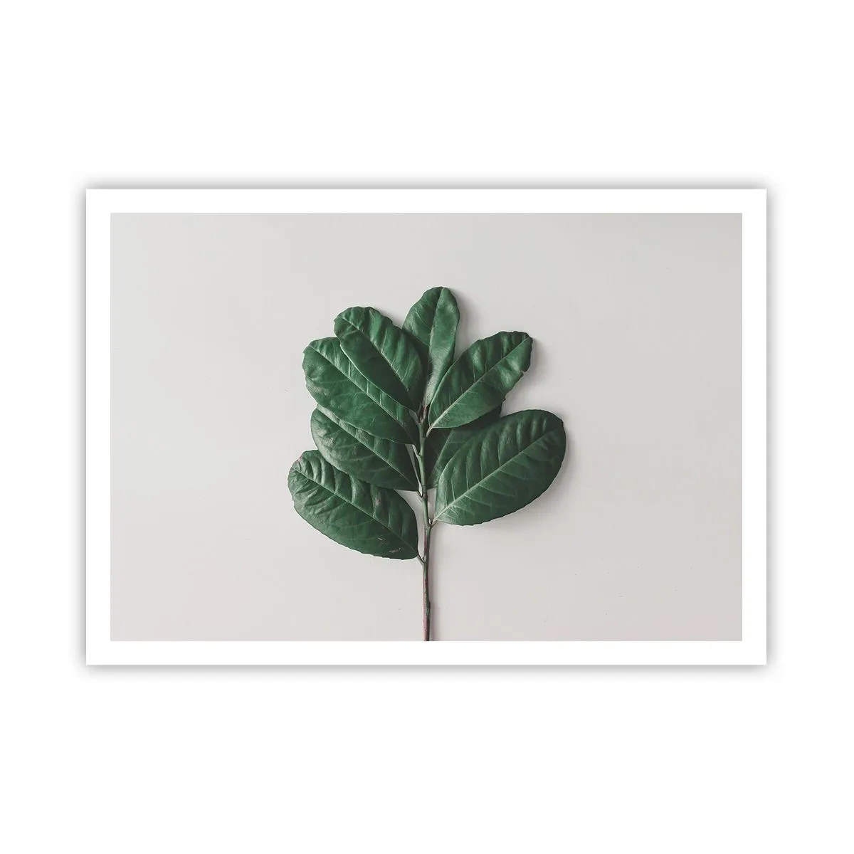 Poster - Desenul naturii însăși - 100x70 cm