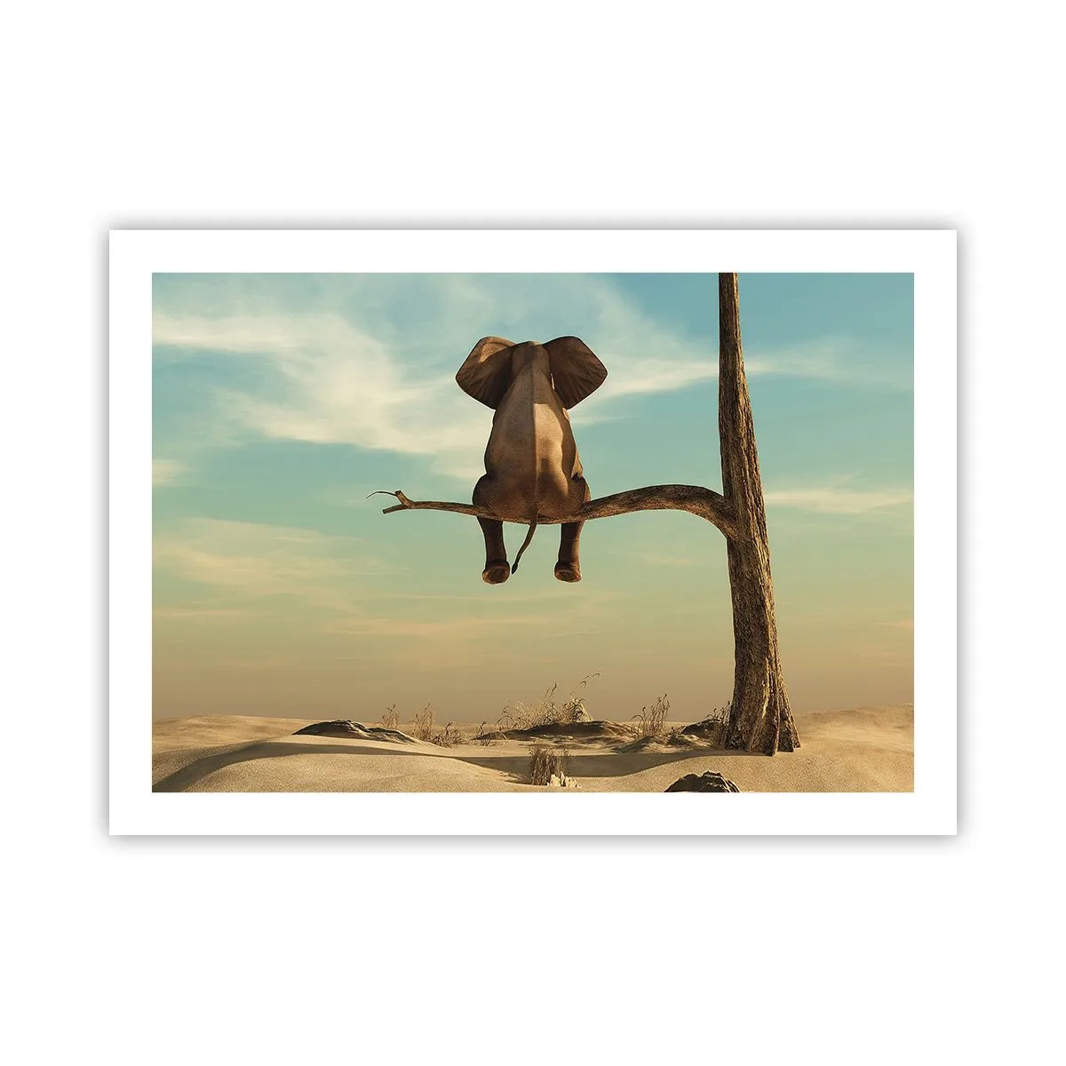 Poster - Un nou punct de vedere - 70x50 cm