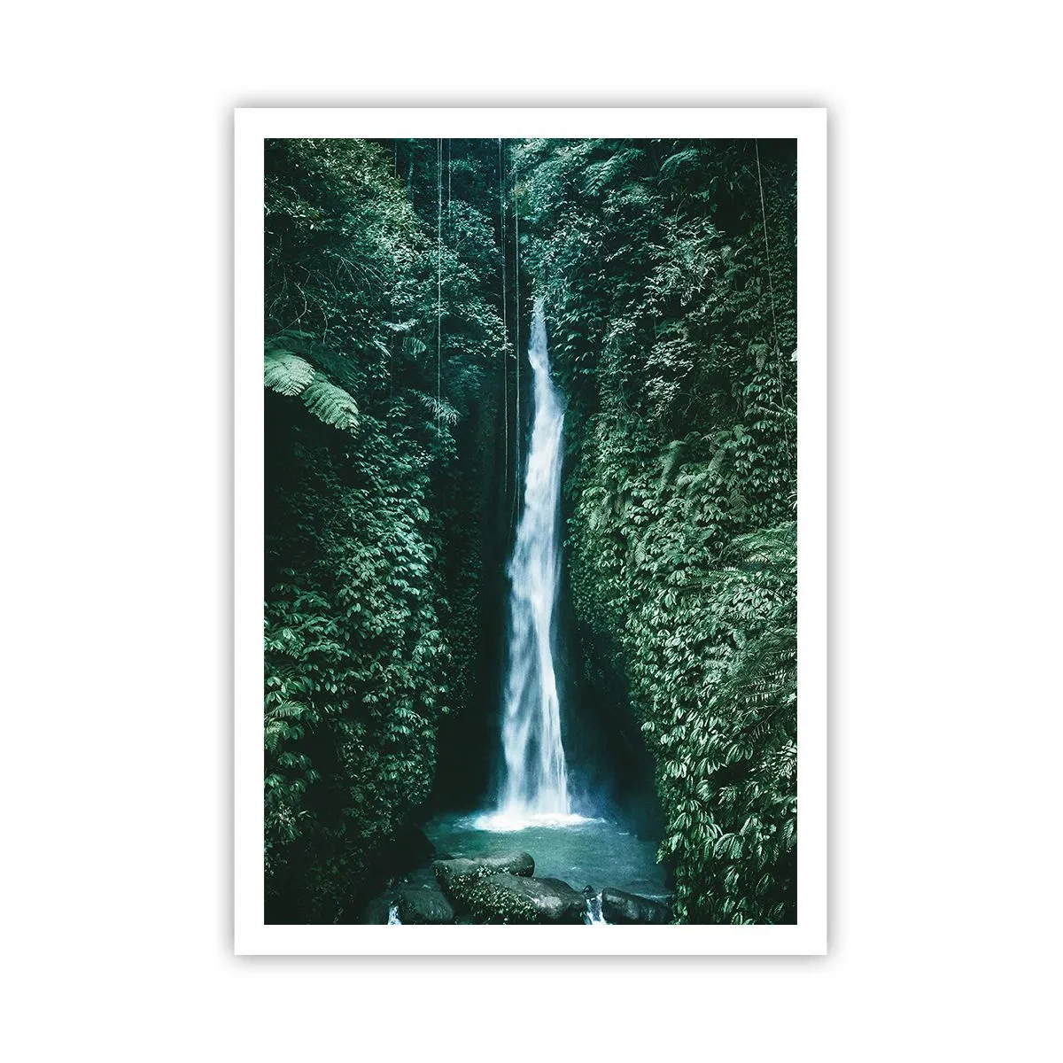 Poster - Băi tropicale - 70x100 cm