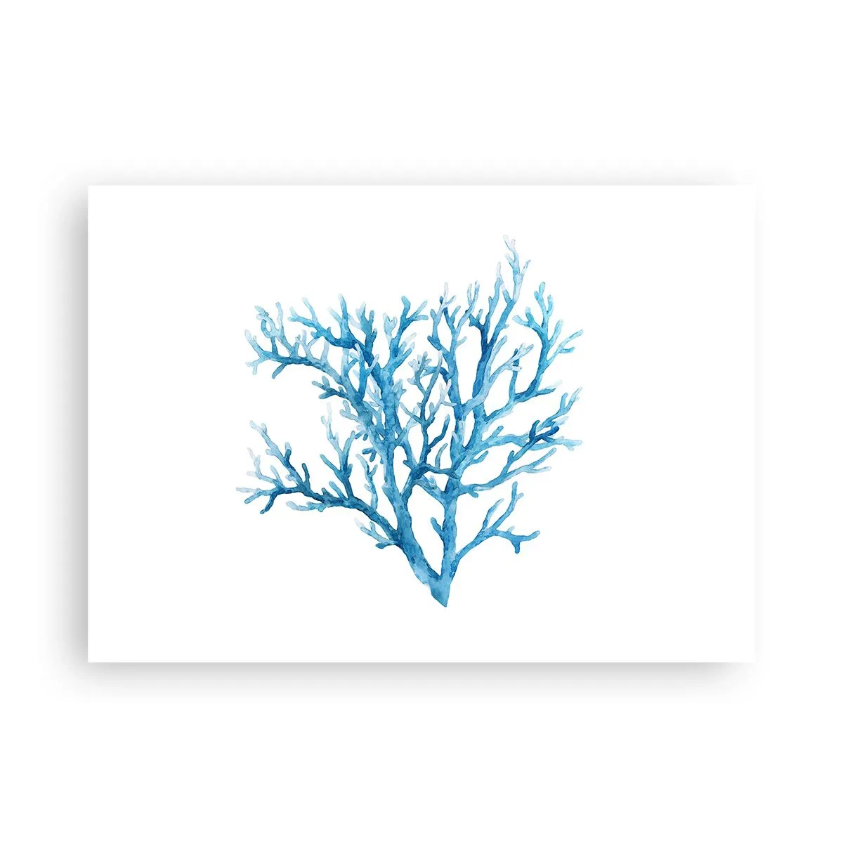 Poster - Filigranul marin - 70x50 cm