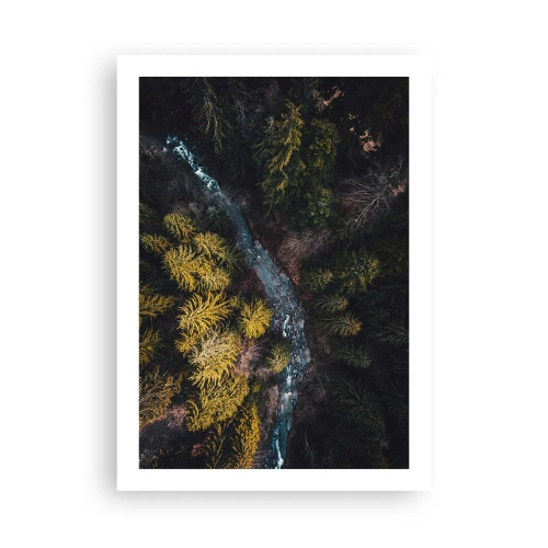 Poster - Rapid și mai rapid - 50x70 cm