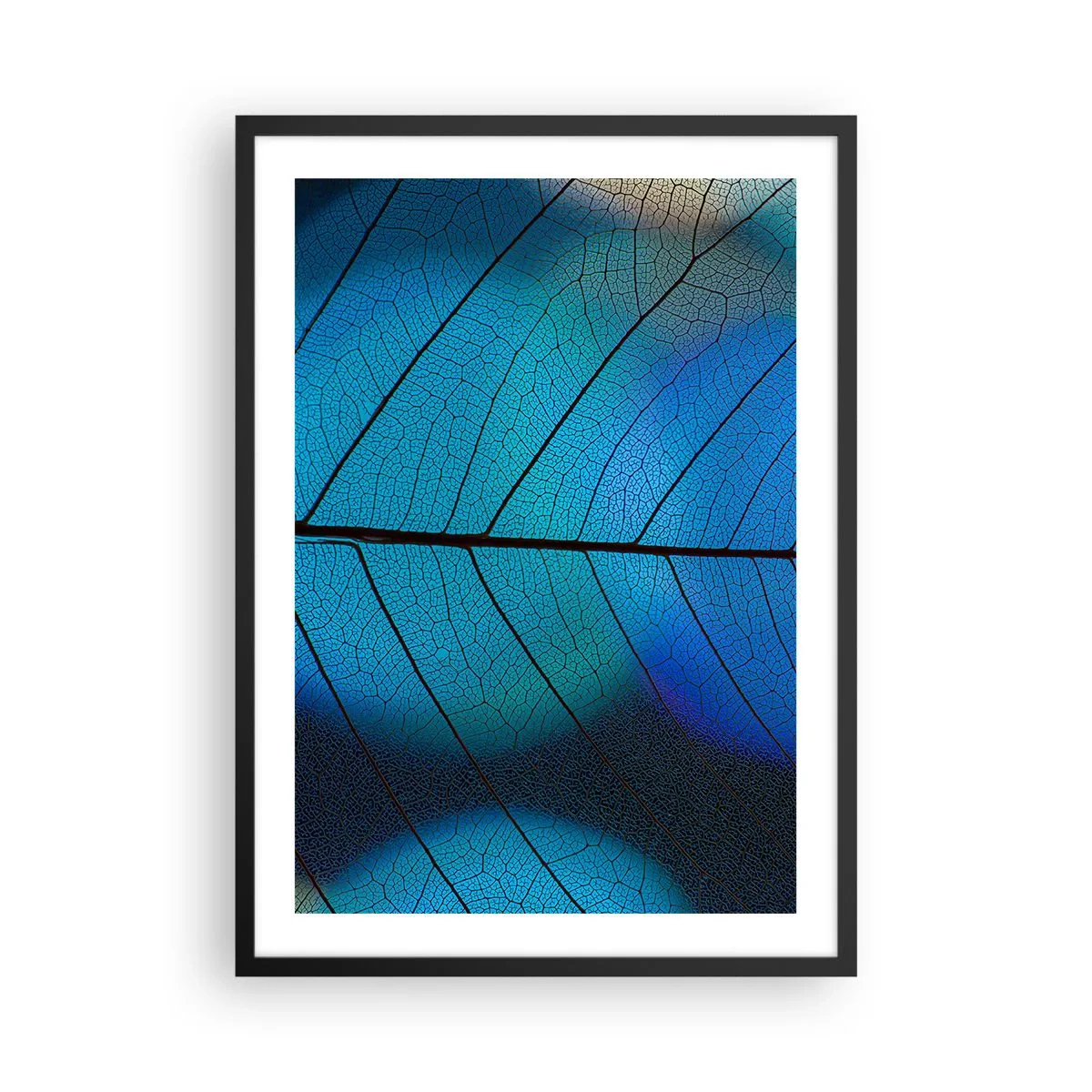 Poster în ramă neagră - Prim-plan al unei frunze albastre cu vene proeminente - 50x70cm - Construcție de finețe - Decorațiune modernă pentru perete pentru living și dormitor ARTTOR