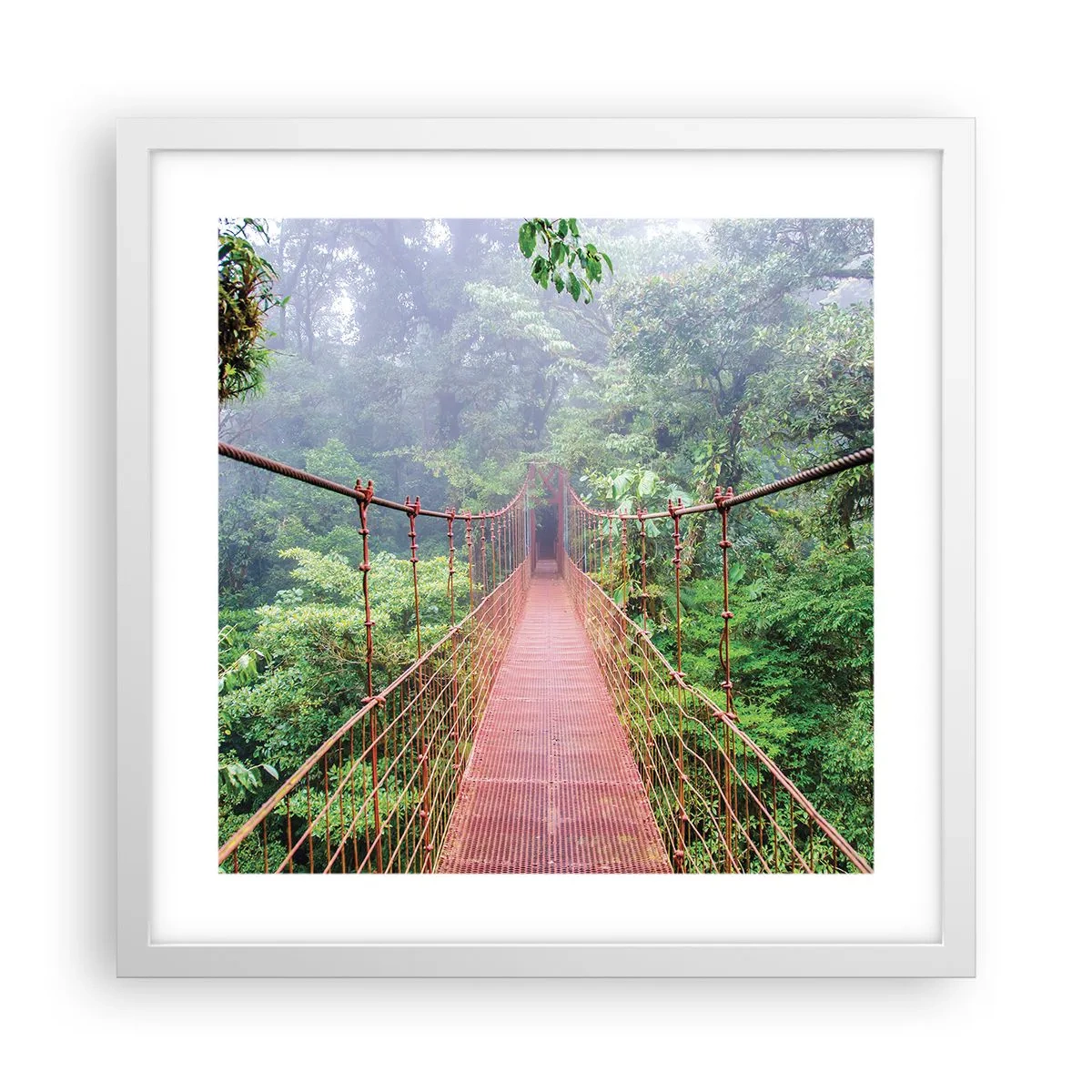 Poster în ramă albă - Suspendat deasupra coroanelor arborilor - 40x40 cm