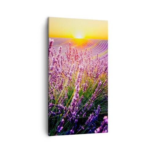 Tablou pe pânză - Câmpul parfumat - 45x80 cm