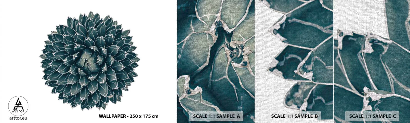 Mostră tapet Premium Canvas - Steaua deșertului - Cactus, Agavă, Grafică - 100x30 cm