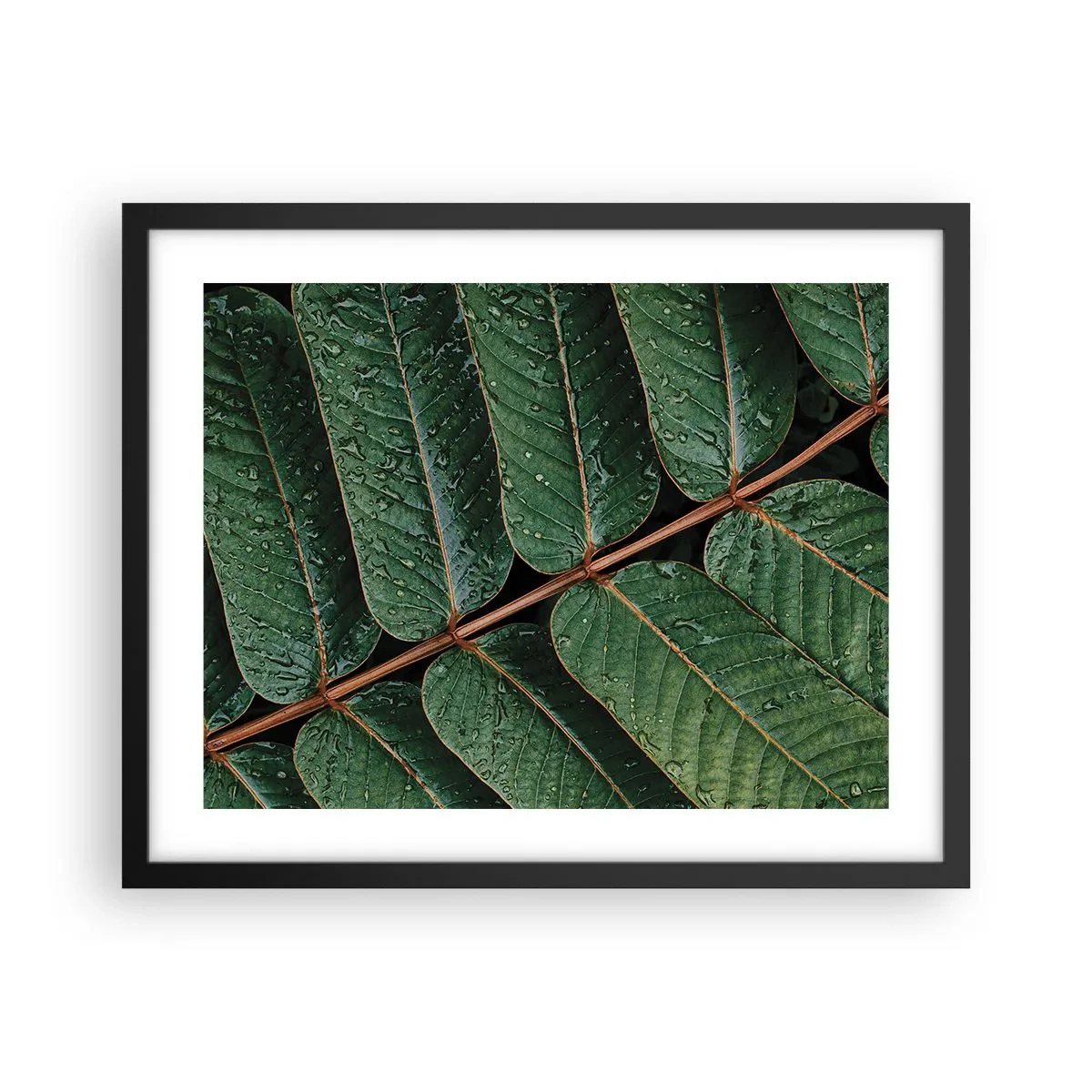 Poster în ramă neagră - Într-un ritm verde - 50x40 cm
