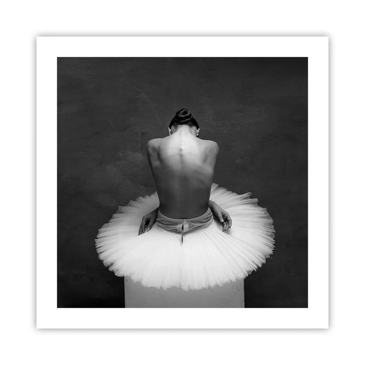 Poster - Chiar înflorește - 50x50 cm