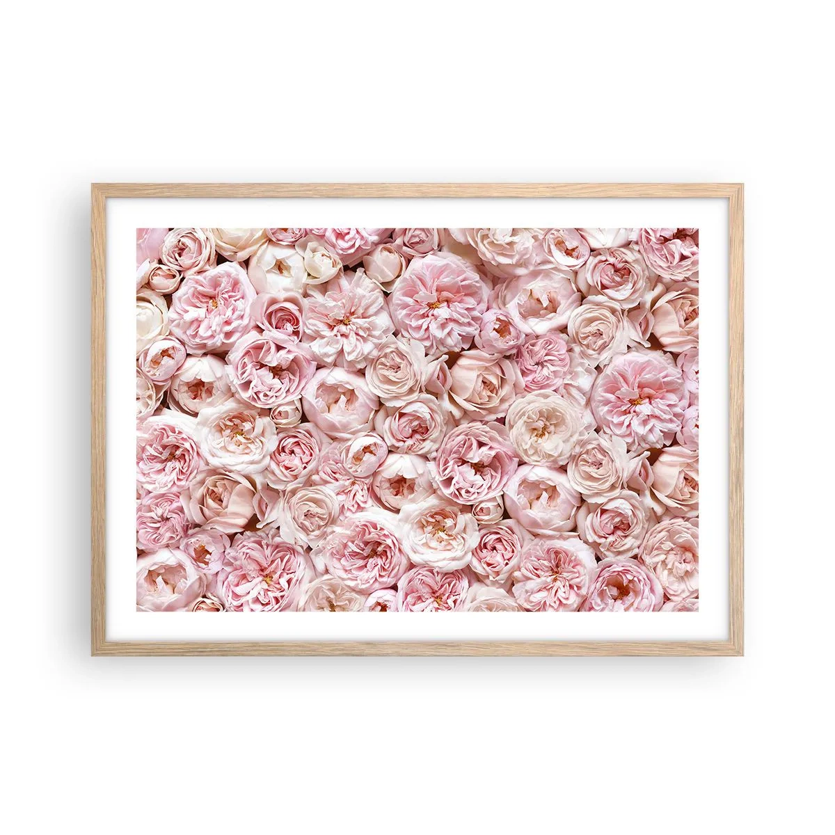 Poster în ramă de stejar deschis - Presărat cu trandafiri - 70x50 cm