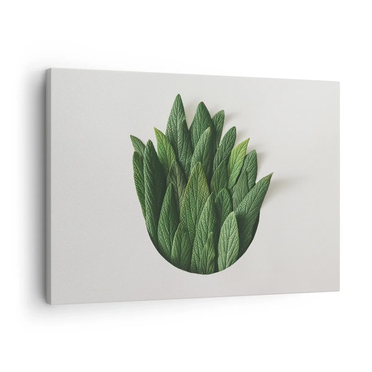 Tablou pe pânză Canvas - O compoziție de frunze verzi pe un fundal deschis - 70x50cm - Curiozitatea nestăvilită - Decorațiune modernă pentru perete pentru living și dormitor ARTTOR